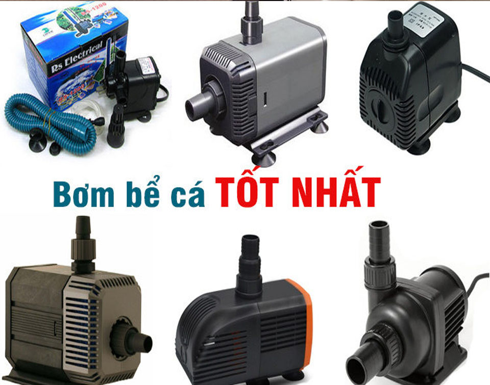 bơm sẽ phụ thuộc vào nhiều yếu tố