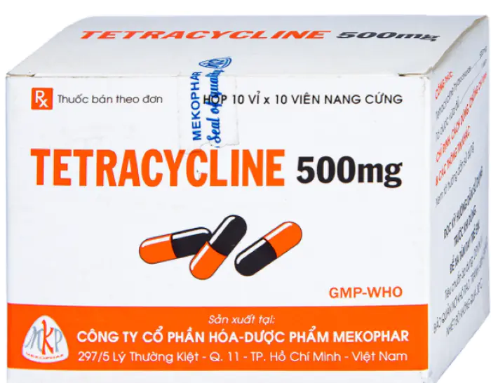 Thả tetracycline vào nước để trị nấm trắng cho cá Koi